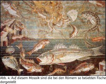 Abb. 4: Auf diesem Mosaik sind die bei den Römern so beliebten Fische dargestellt