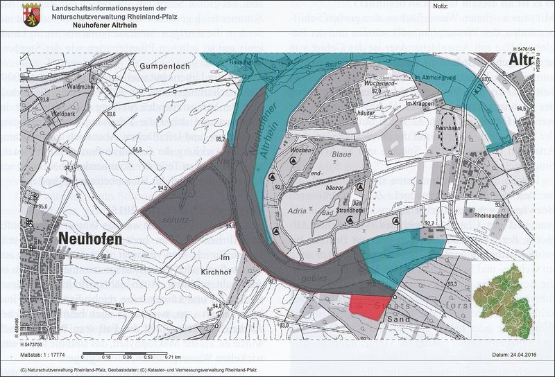 Lage des Neuhofener Altrheins, Auszug aus dem LANIS (rot: NSG, grün: VSG).