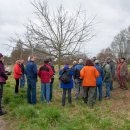 9./16.03.2019 | Baumpflege unter professioneller Anleitung  – ALTRIP BLÜHT