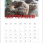 HGV-Kalender 2023 | September