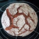 WhatsApp-Backen | Januar 2021