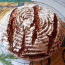 WhatsApp-Backen | Januar 2021