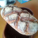 WhatsApp-Backen | März 2021