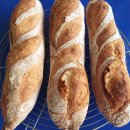 WhatsApp-Backen | Juni 2021