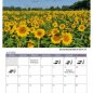 HGV-Kalender 2025 | Juli