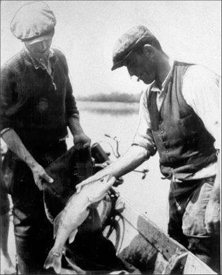 Altriper Fischer bei der Arbeit