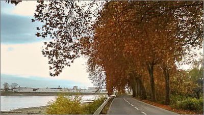 Verschönerungsverein Altrip