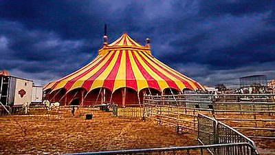 Altrip erlebt Revue-Zirkus (Foto: pxhere.com)