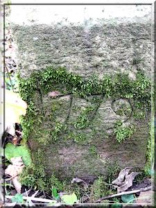  Gemarkungswanderung im Herbst 2010