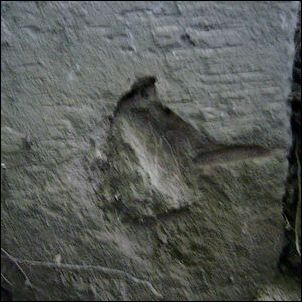 Rätselhaftes Siebener-Geheimnis