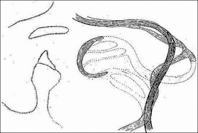 Der Rhein-Durchbruch bei Altrip