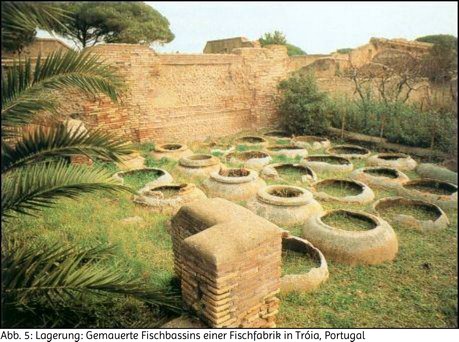 Abb. 5: Lagerung: Gemauerte Fischbassins einer Fischfabrik in Tróia, Portugal