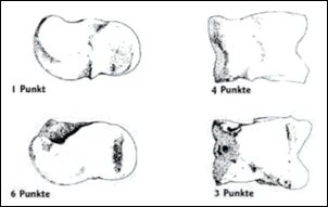 Ein Astragal besitzt vier Flächen, wobei im Spiel jede Fläche einen unterschiedlichen Wert besaß. Dabei zählte die instabilste Seite des Astragals sechs Punkte, die konkave Seite vier, die konvexe drei und die letzte (leichteste) Seite einen Punkt.
