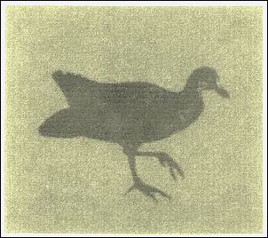 Das Altriper Wasserhinkel  Eine Erzählung