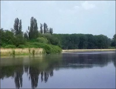 Blick auf den Neuhofener Altrhein.