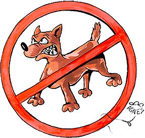 Herr und Hund im Visier