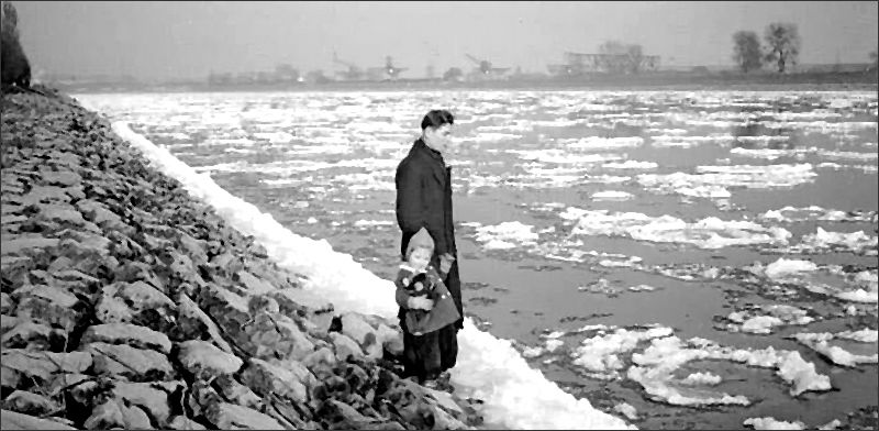 Eisschollen auf dem Rhein bei Altrip.