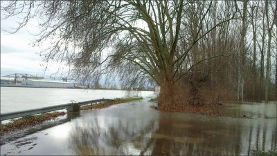 Franzosen versuchen Altrip trocken zu legen