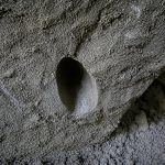 Grenzsteine Altrip – Bild 12