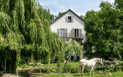 Traum vom Reiterhof erfüllt