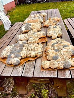 Osterbrot backen