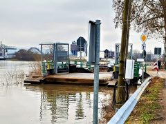 Hochwasser in Altrip