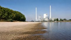 Der Rhein bei Niedrigwasser Ende September 2003