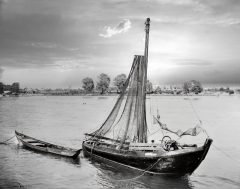 Fischerboot auf dem Rhein bei Altrip