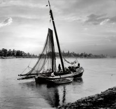 Fischerboot auf dem Rhein bei Altrip