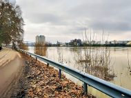 Hochwasser in Altrip am 2. Februar 2021 (Fotos: Iris Hajok)