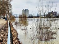 Hochwasser in Altrip am 2. Februar 2021 (Fotos: Iris Hajok)