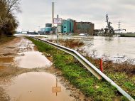 Hochwasser in Altrip am 2. Februar 2021 (Fotos: Iris Hajok)