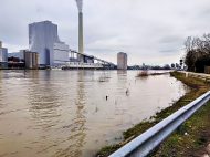 Hochwasser in Altrip am 2. Februar 2021 (Fotos: Iris Hajok)