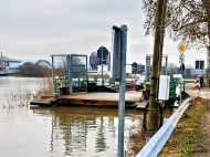 Hochwasser in Altrip am 2. Februar 2021 (Fotos: Iris Hajok)
